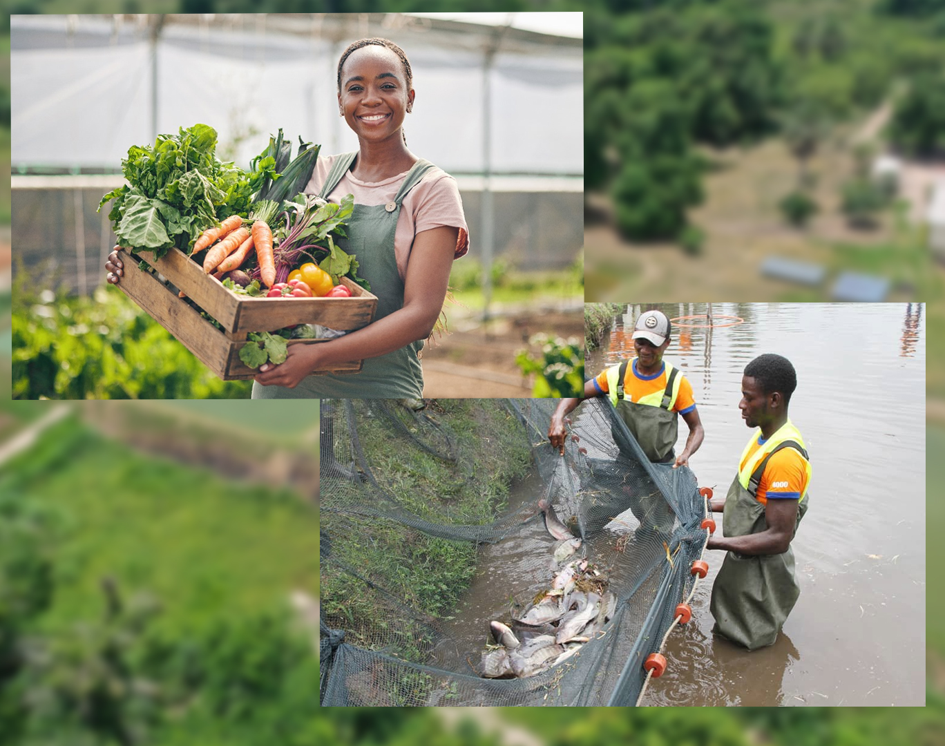 Agropastoral agriculture élevage Afrique de l'Ouest
