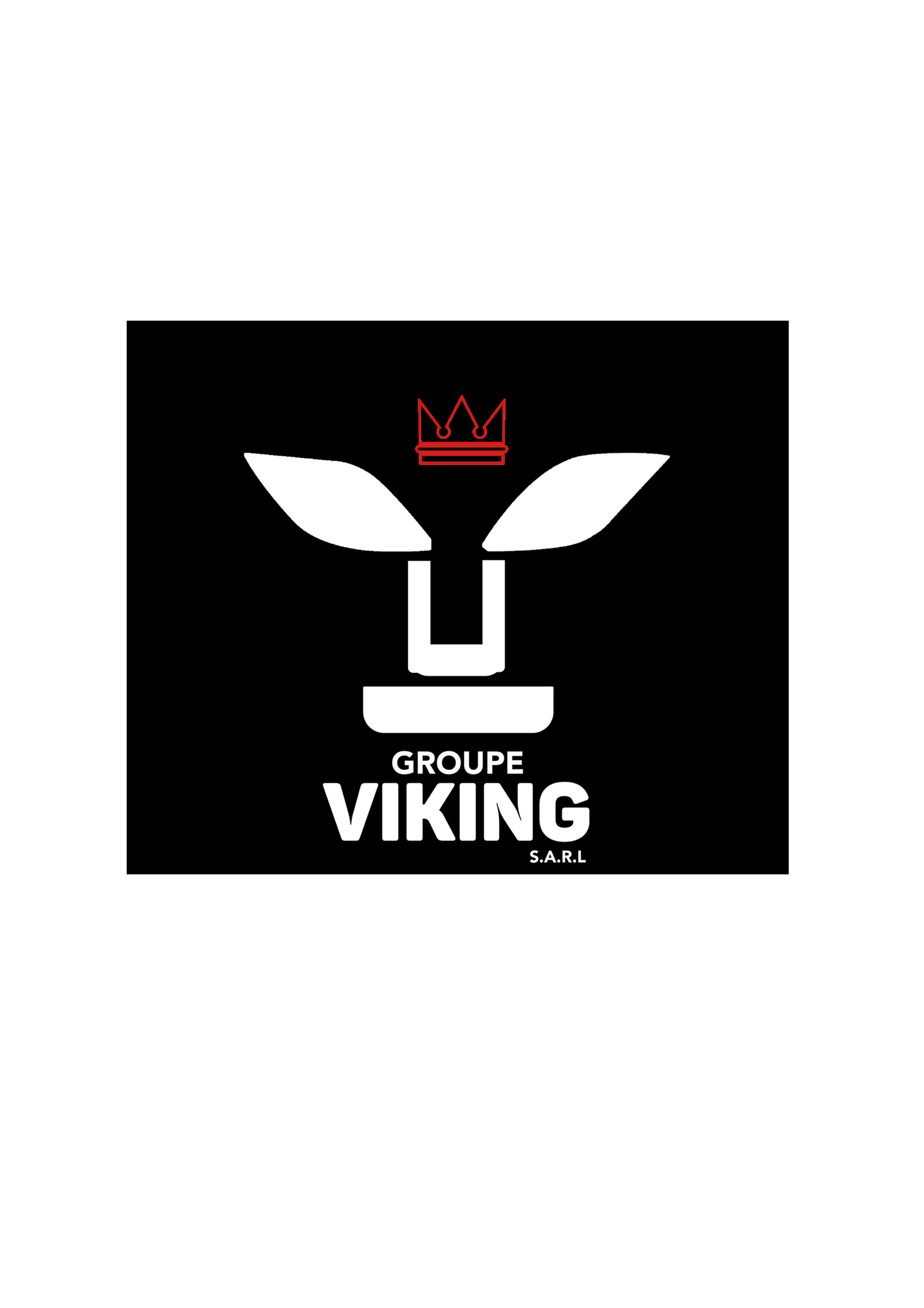 Logo Groupe Viking