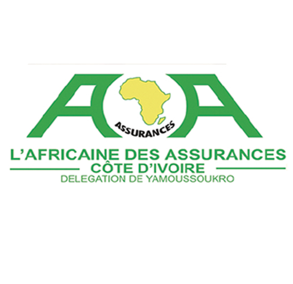 Partenaire Groupe Viking SARL — référence entreprise Côte d'Ivoire