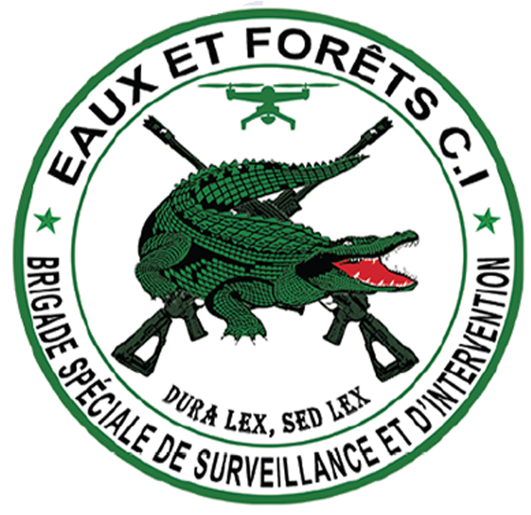 Partenaire Groupe Viking SARL — référence entreprise Côte d'Ivoire